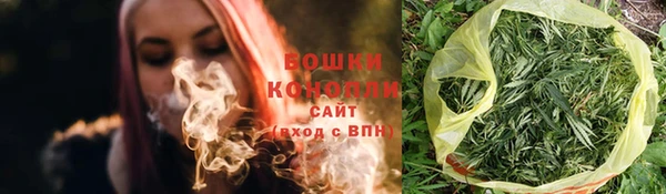 дживик Богородицк
