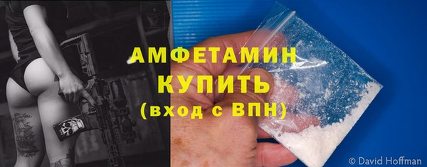 дживик Богородицк