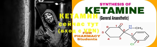 дживик Богородицк