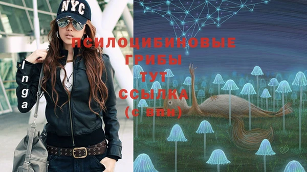 герыч Богданович