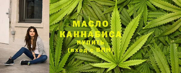дживик Богородицк