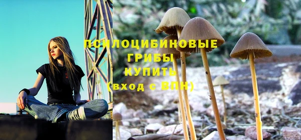 а пвп мука Богородск