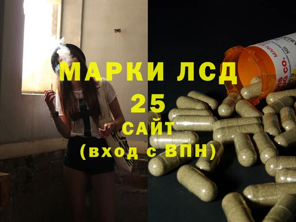дживик Богородицк