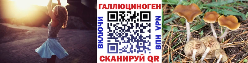 Галлюциногенные грибы Cubensis  где можно купить   Красково 